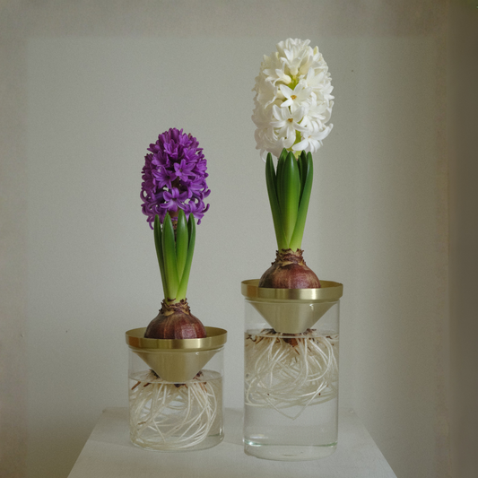 アンティークなカップ付　つつさん　Lサイズ