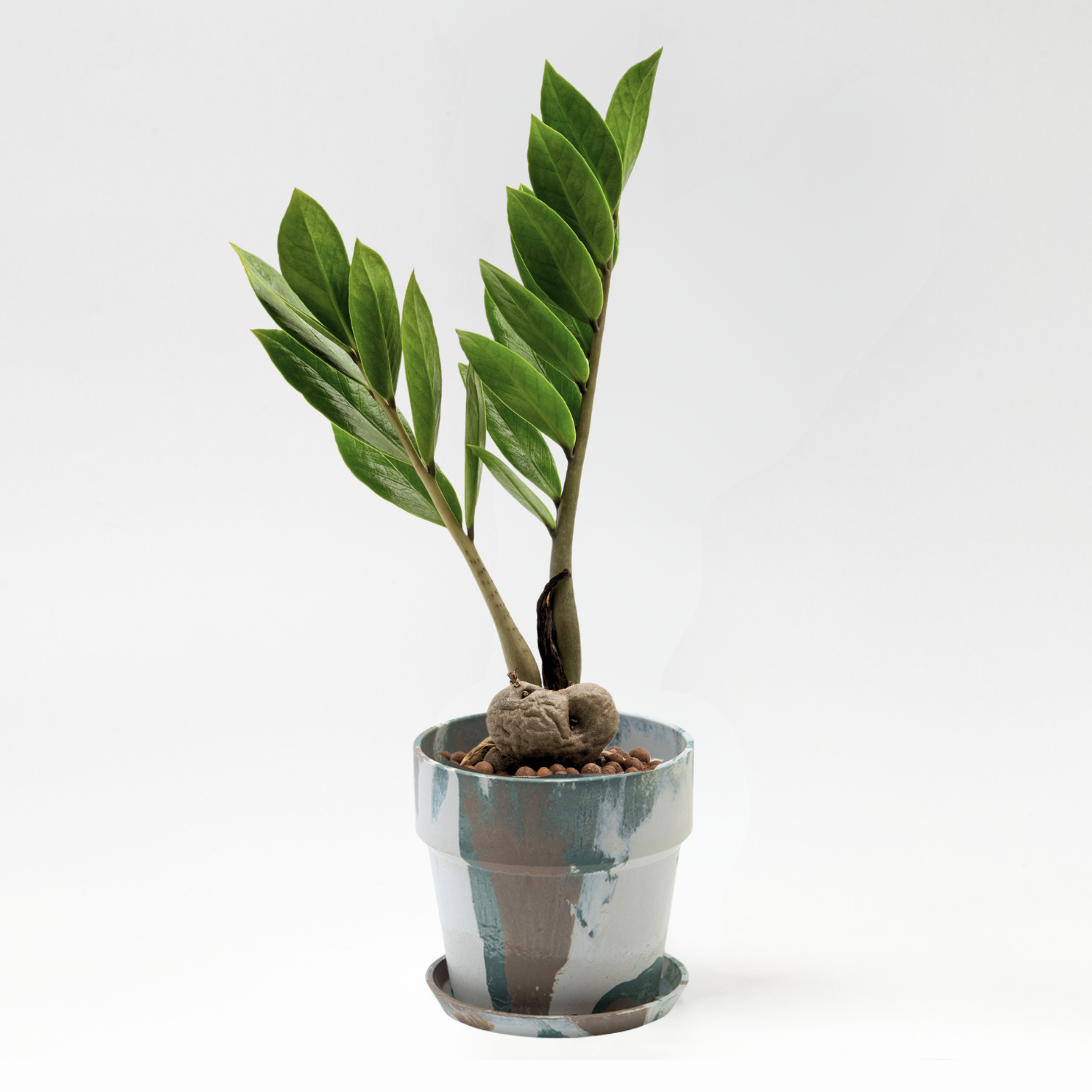 81072_2.png?v=1755053651&width 81072_2.png?v=1755053651&width