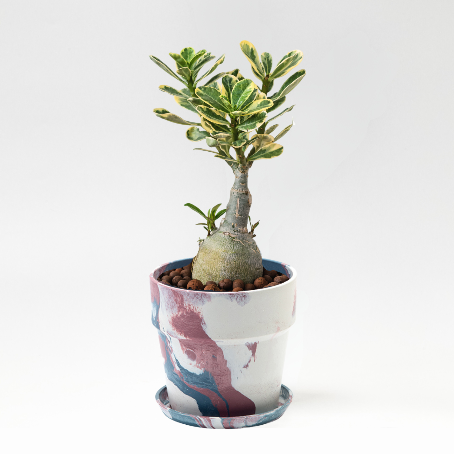 3号 カラフル かっこいい植木鉢 POSH LIVING/アーバンプランツポット 3号 カラフル かっこいい植木鉢 POSH LIVING/アーバンプランツポット