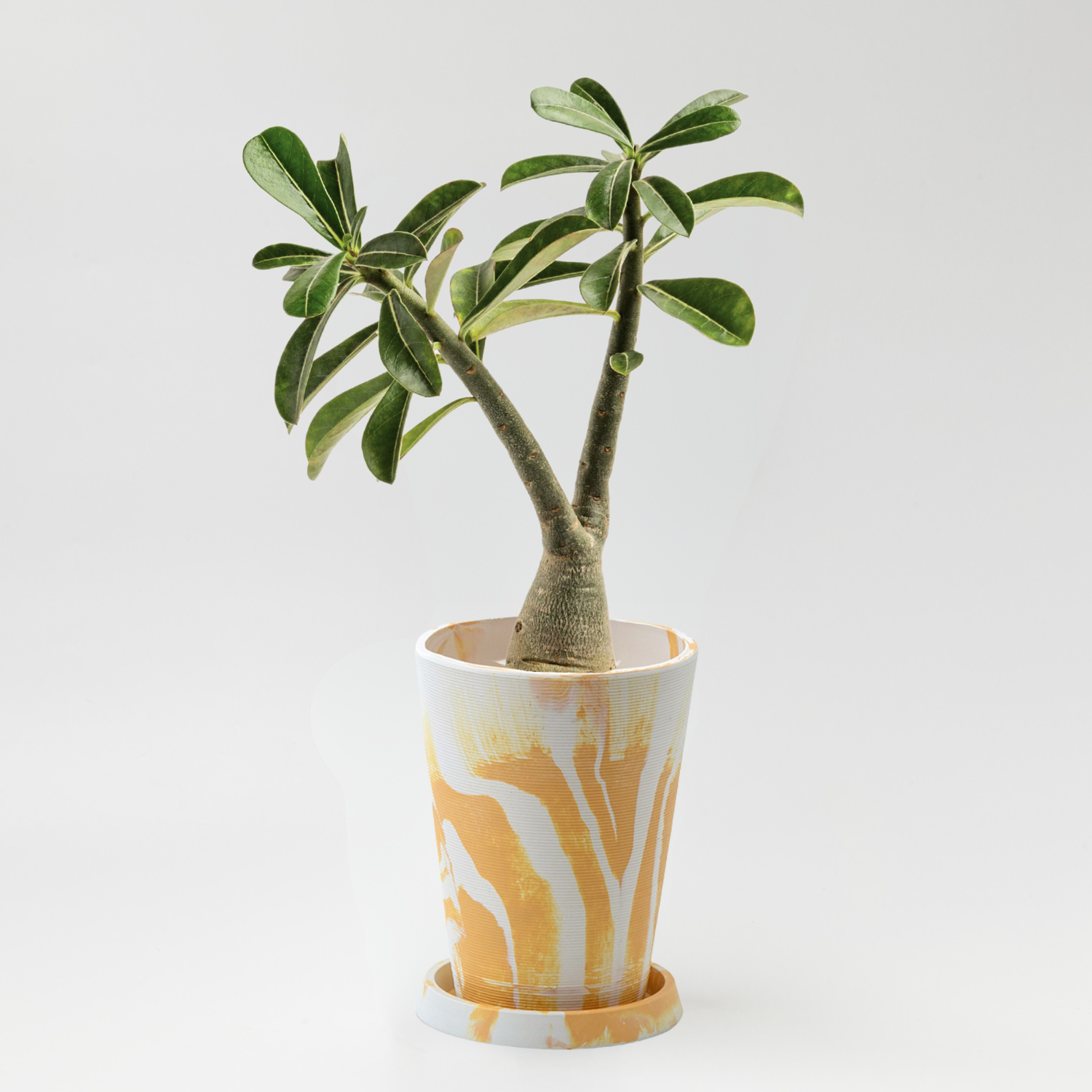 4号 カラフル かっこいい植木鉢 POSH LIVING/アーバンプランツポット 4号 カラフル かっこいい植木鉢 POSH LIVING/アーバンプランツポット