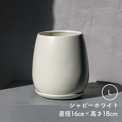 たまごさん　Lサイズ 　丸み皿