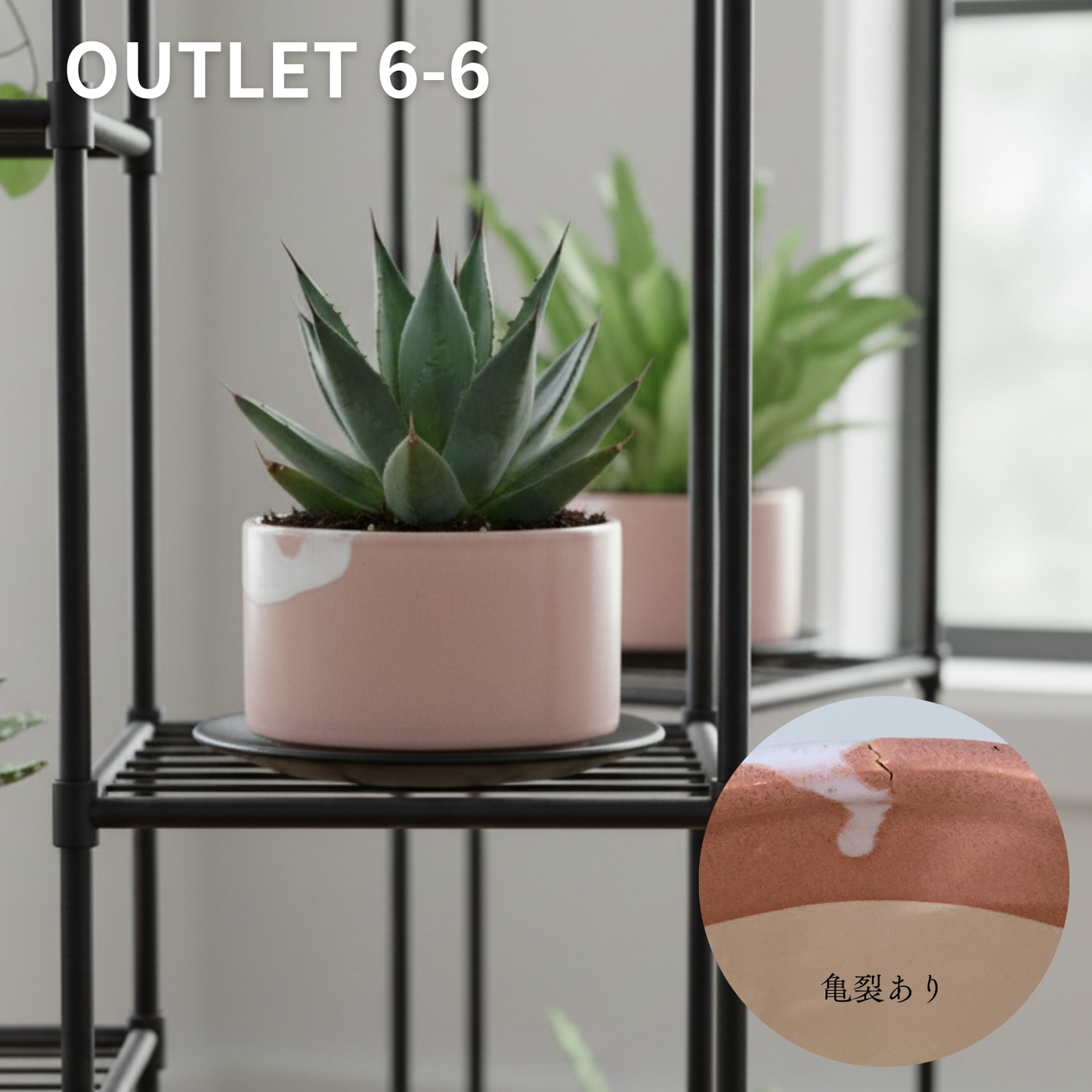 【アウトレット品】盆栽鉢 筒型さくら色 受け皿付き