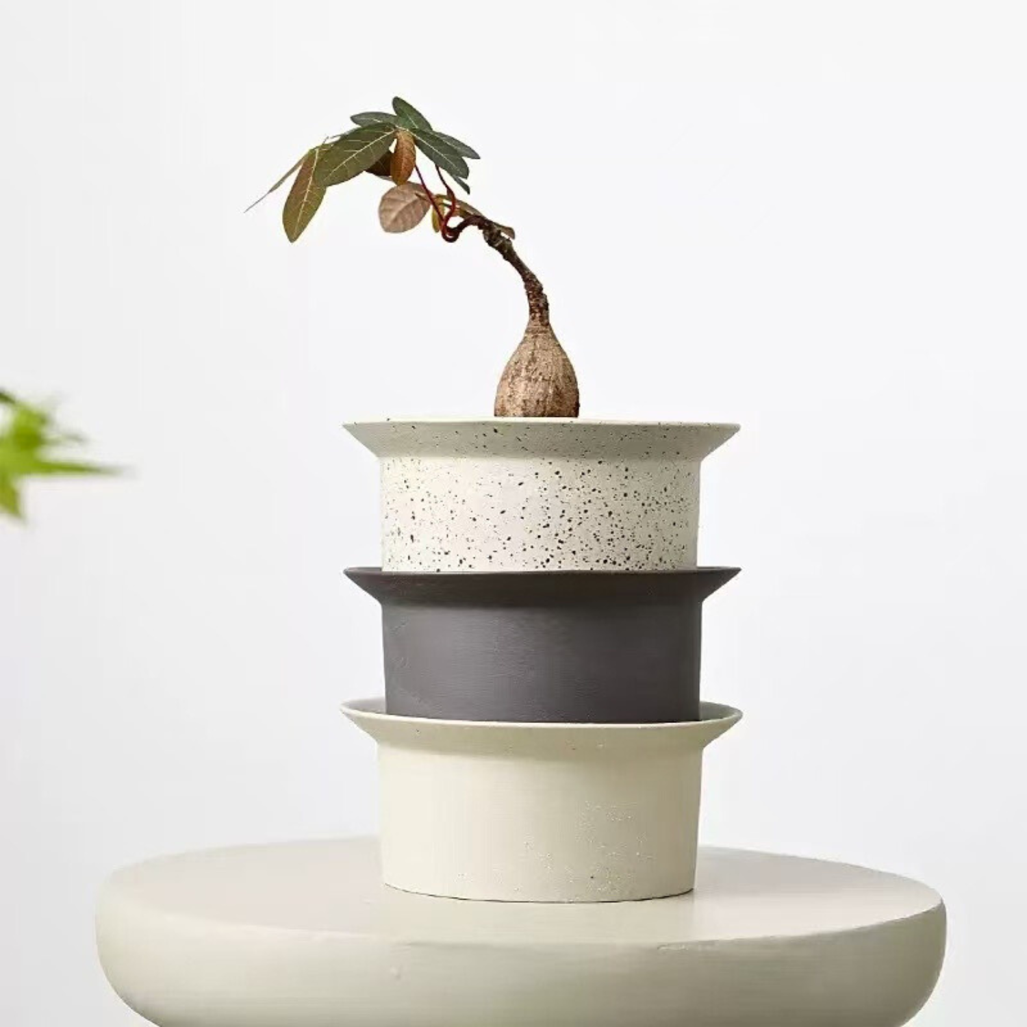 3号|おしゃれな陶器鉢|背の低い|受け皿付|ハットさん|北欧|S 3号|おしゃれな陶器鉢|背の低い|受け皿付|ハットさん|北欧|S