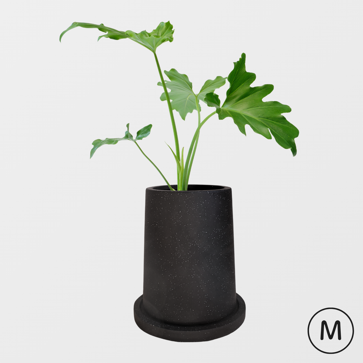 【サンプル品】大きな台形の鉢　Mサイズ