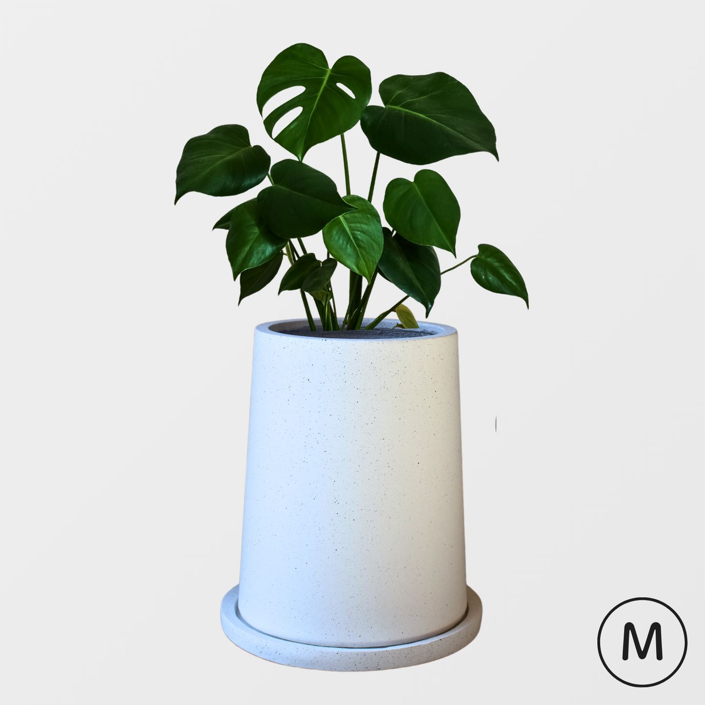 【サンプル品】大きな台形の鉢　Mサイズ