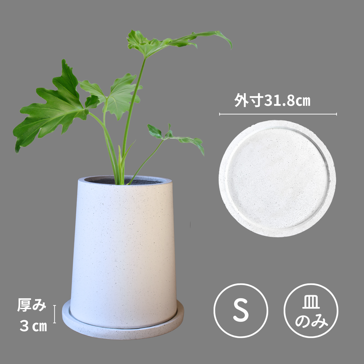 【アウトレット品・受け皿のみ】大きな台形の鉢　Sサイズ