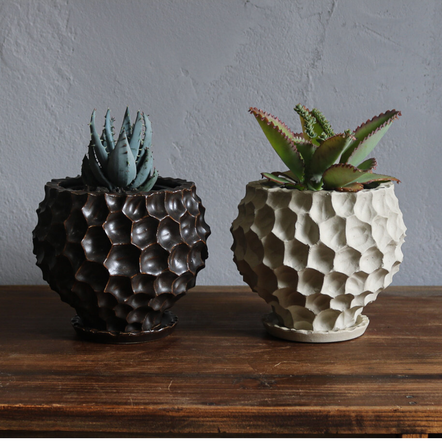 植木鉢|かっこいい|個性的なおしゃれな鉢|いがぐりさん@鉢の専門店 植木鉢|かっこいい|個性的なおしゃれな鉢|いがぐりさん@鉢の専門店