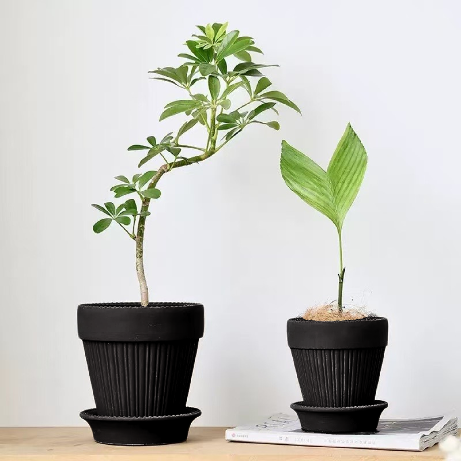 PCP-39_9.png?v=1749705002& PCP-39_9.png?v=1749705002&