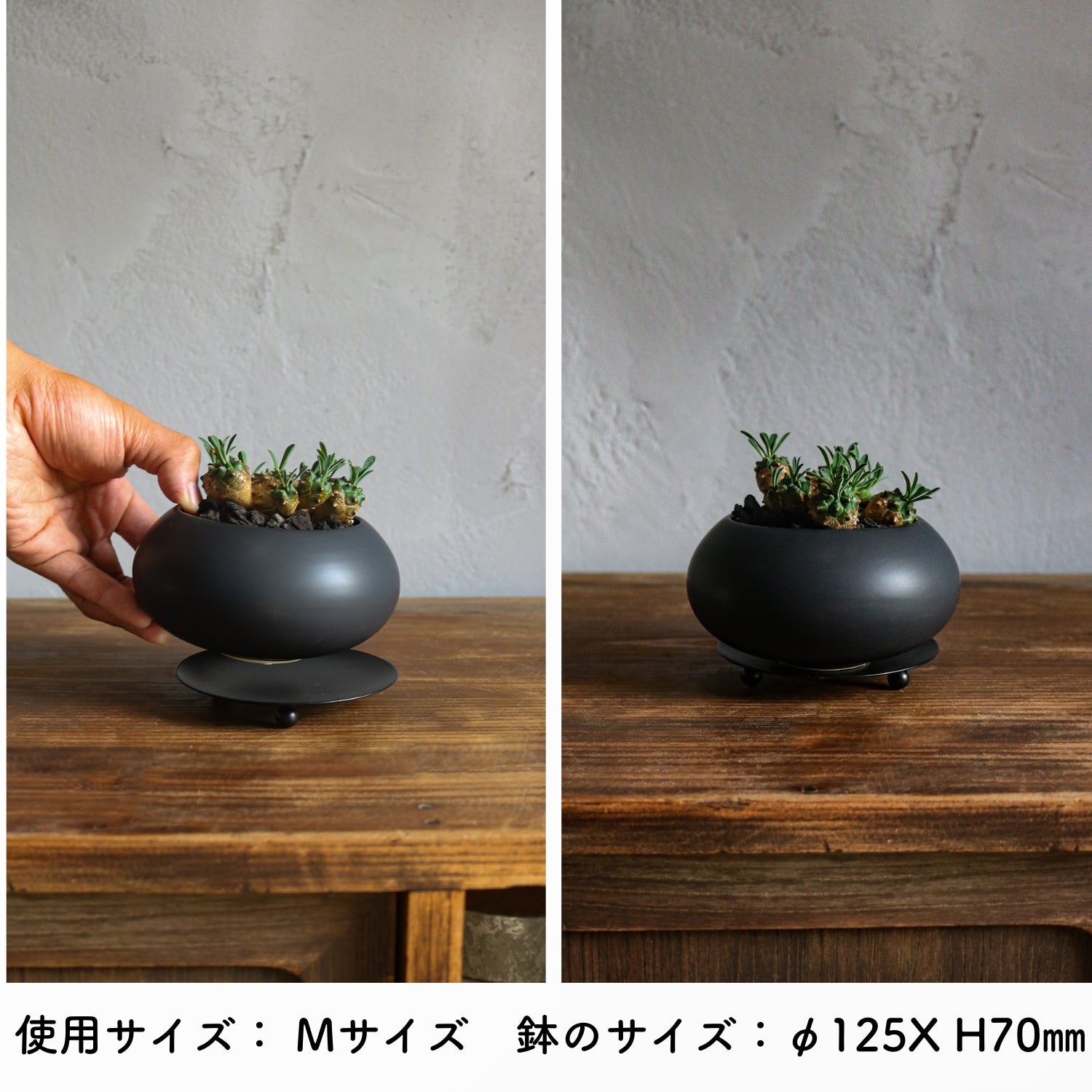 古い蔵から譲り受けた花瓶 古い蔵から譲り受けた花瓶 古い蔵から譲り受けた花瓶