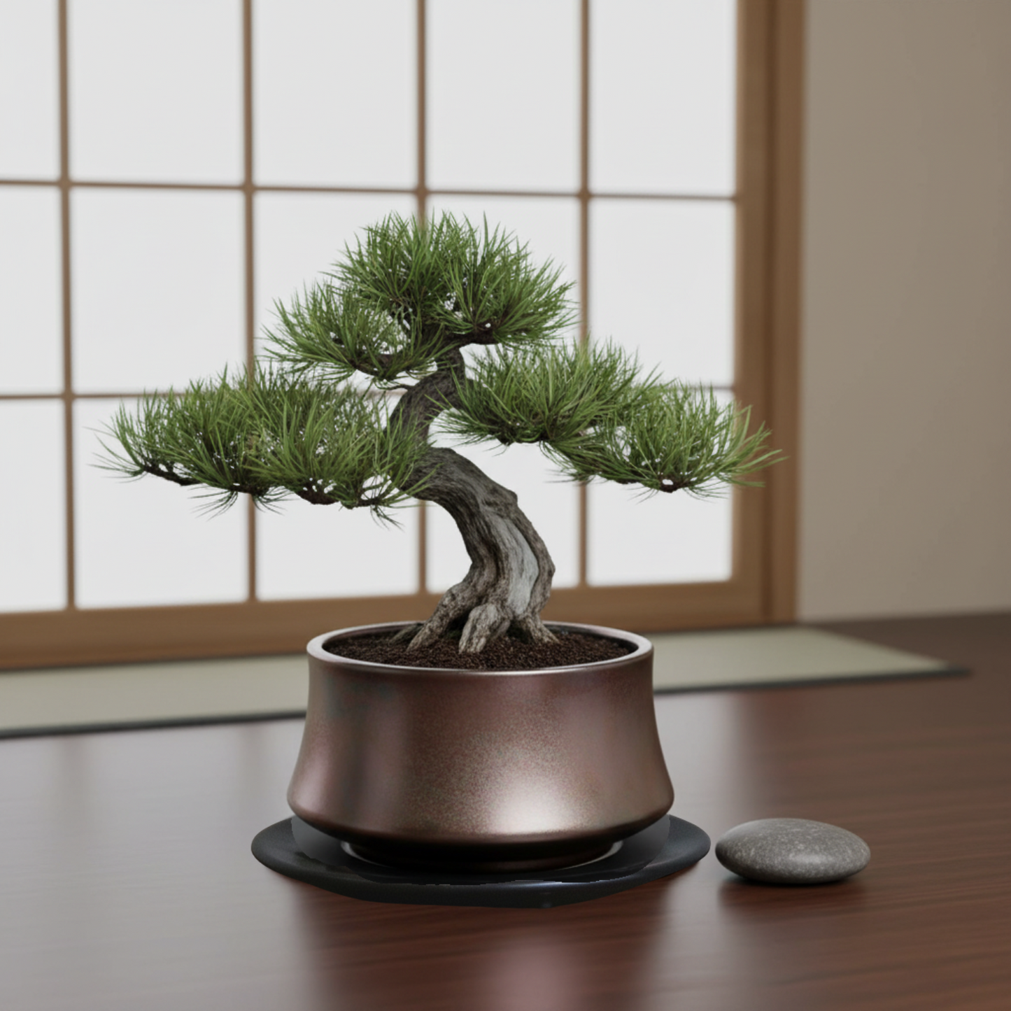 盆栽鉢 山型 受け皿付き