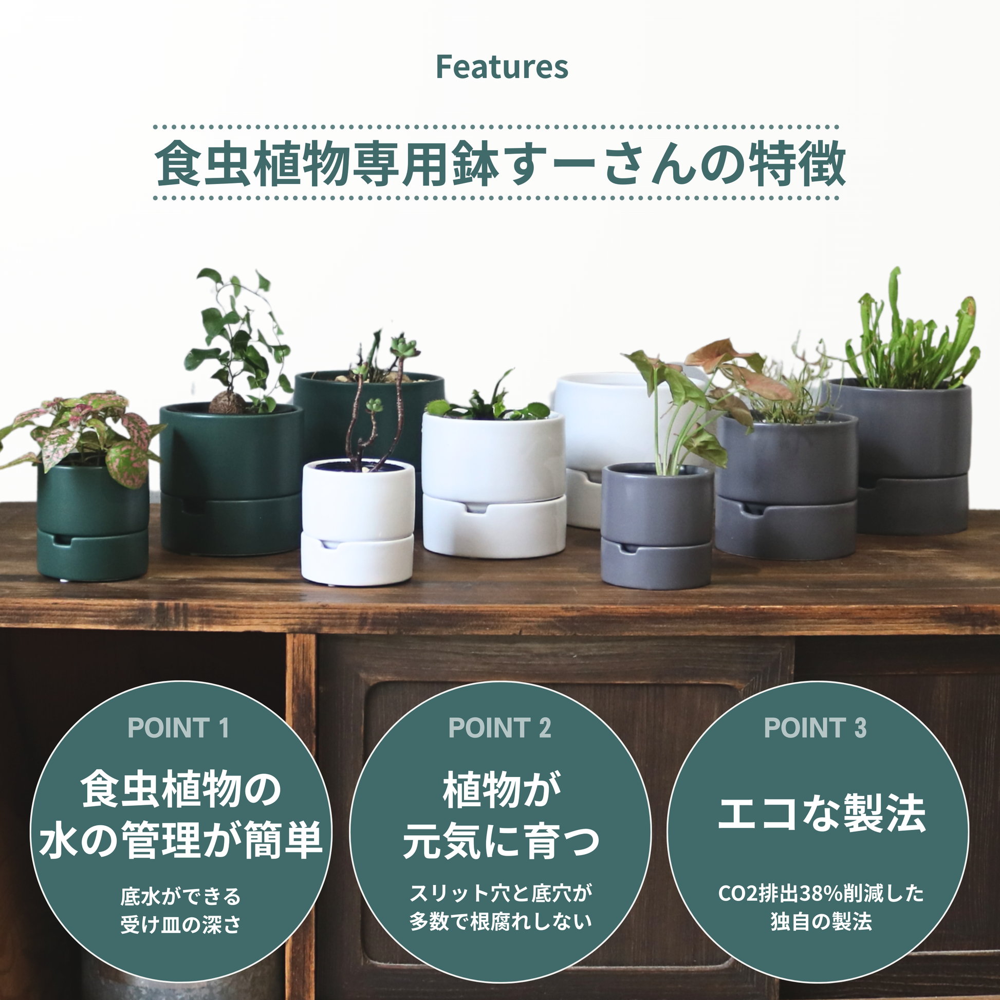食虫植物・ハイドロカルチャーにぴったり|陶器 植木鉢|3号|すーさん 食虫植物・ハイドロカルチャーにぴったり|陶器 植木鉢|3号|すーさん