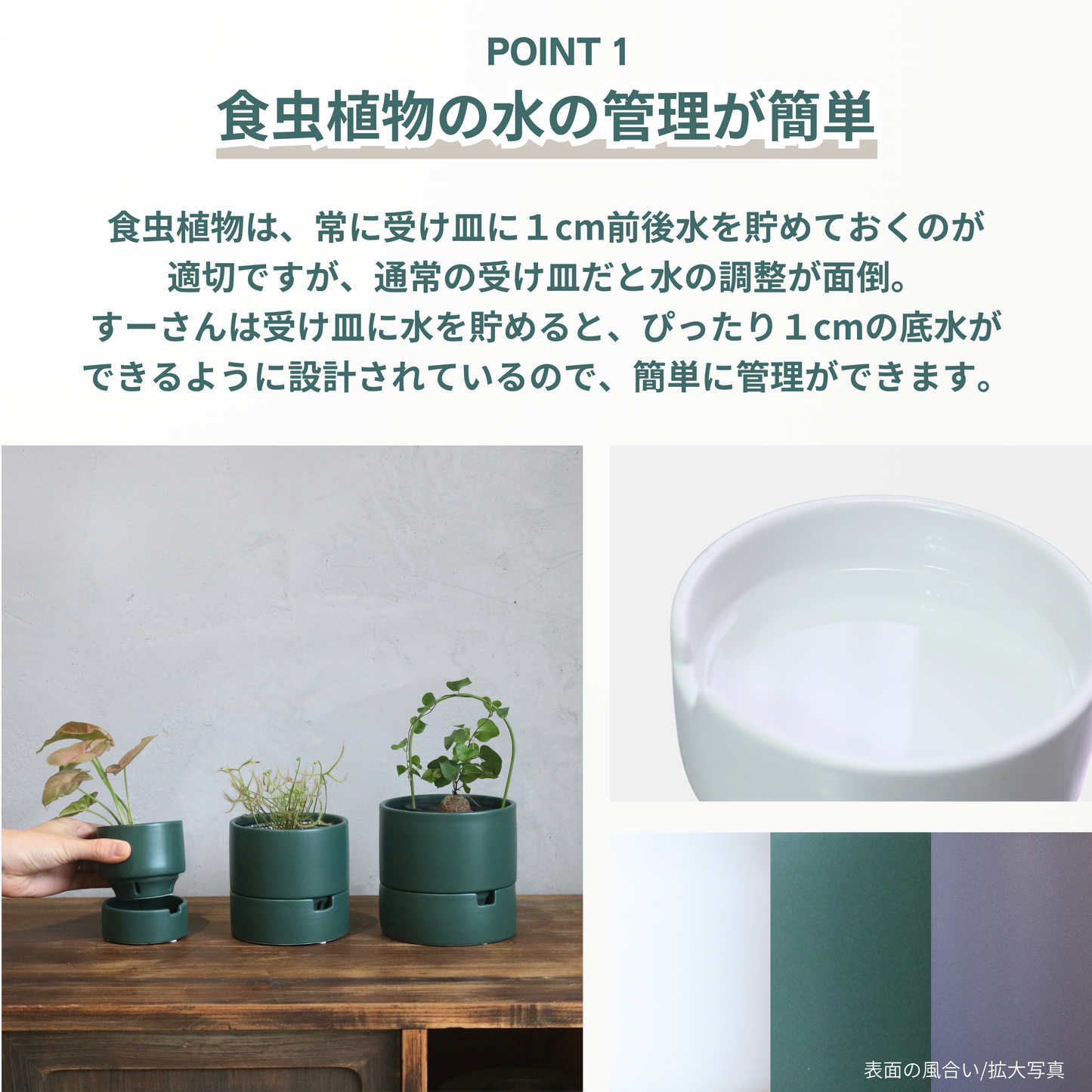 すーさん　Mサイズ