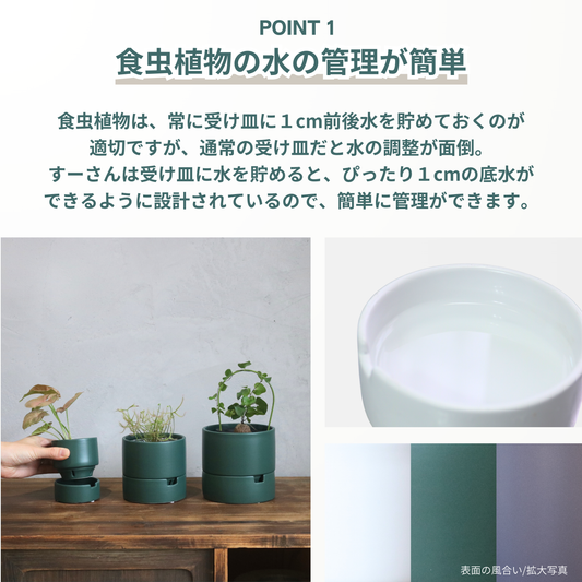 すーさん　Mサイズ