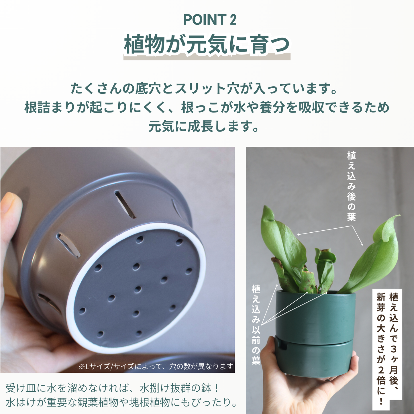 すーさん　Mサイズ