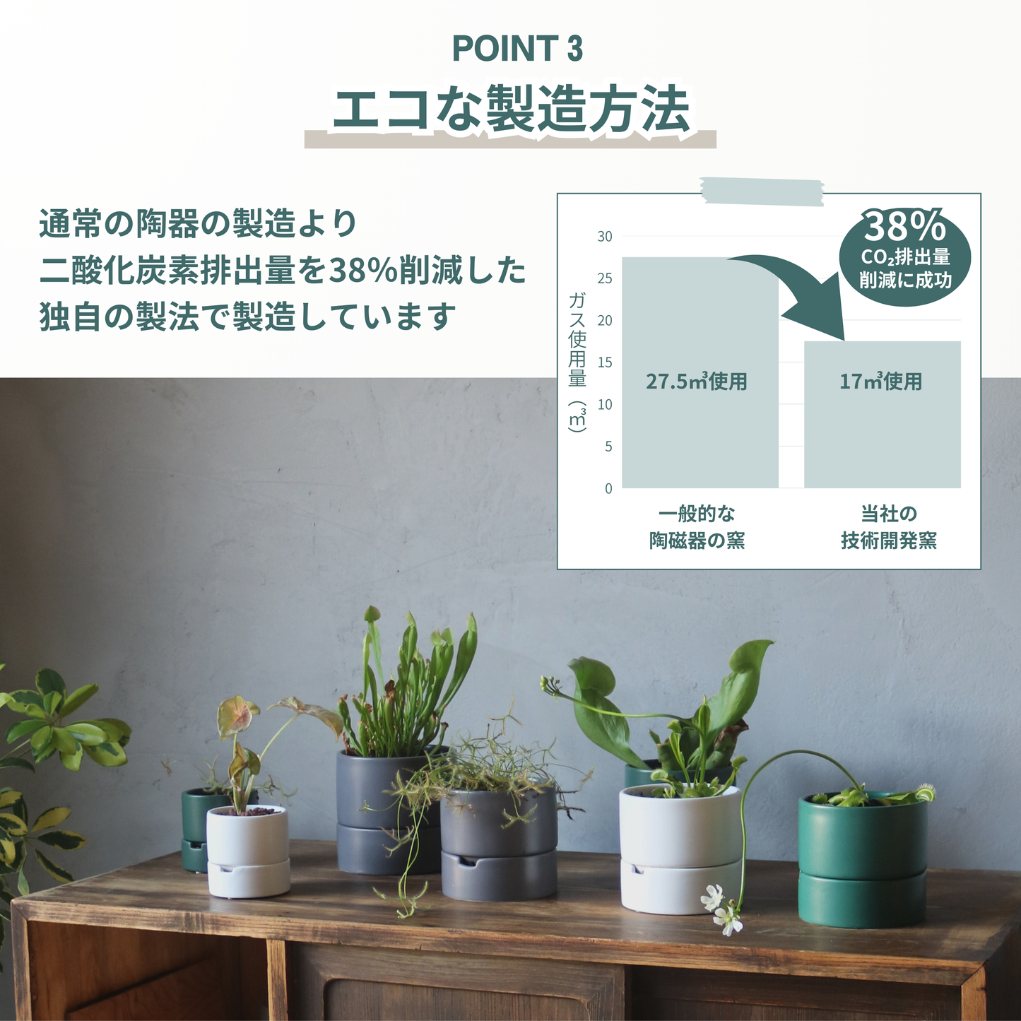 すーさん　Mサイズ