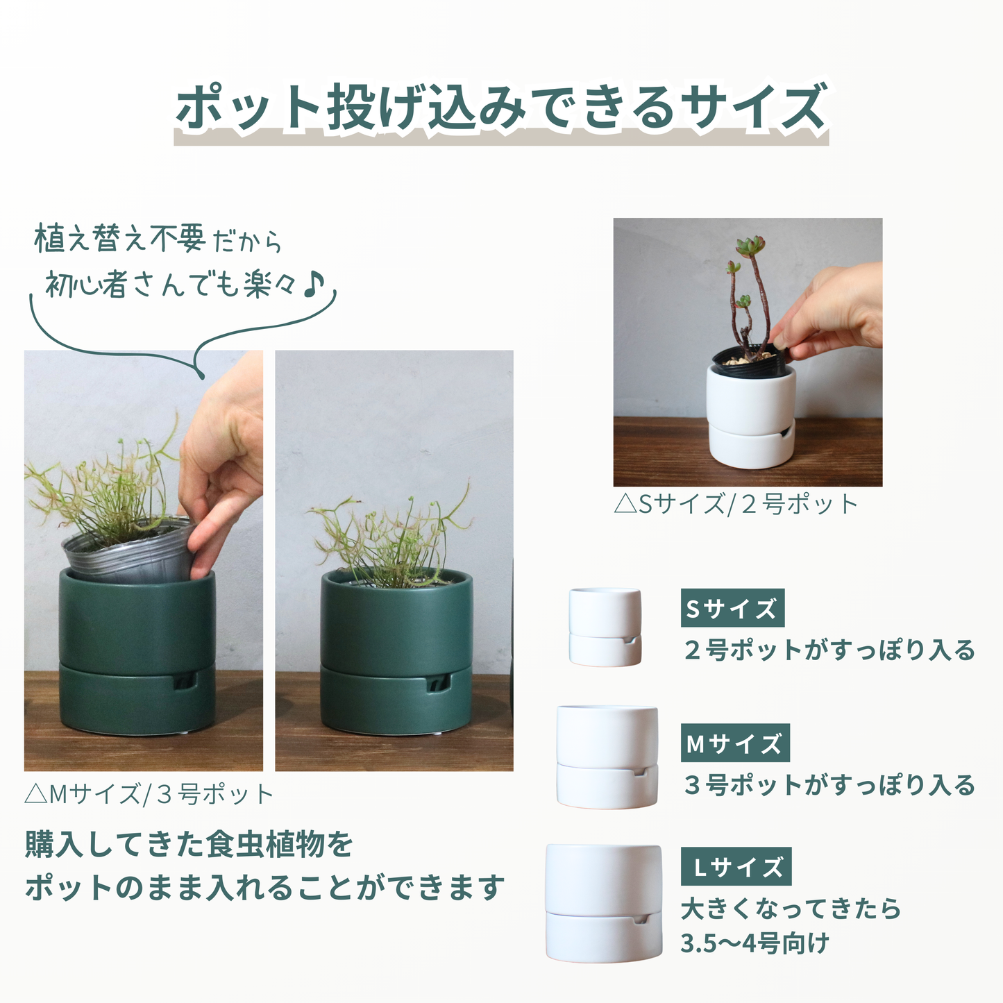 すーさん　Mサイズ