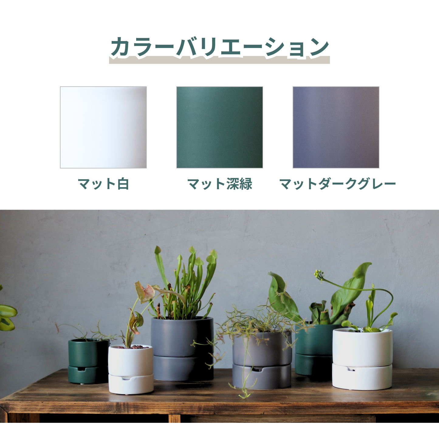 すーさん　Mサイズ