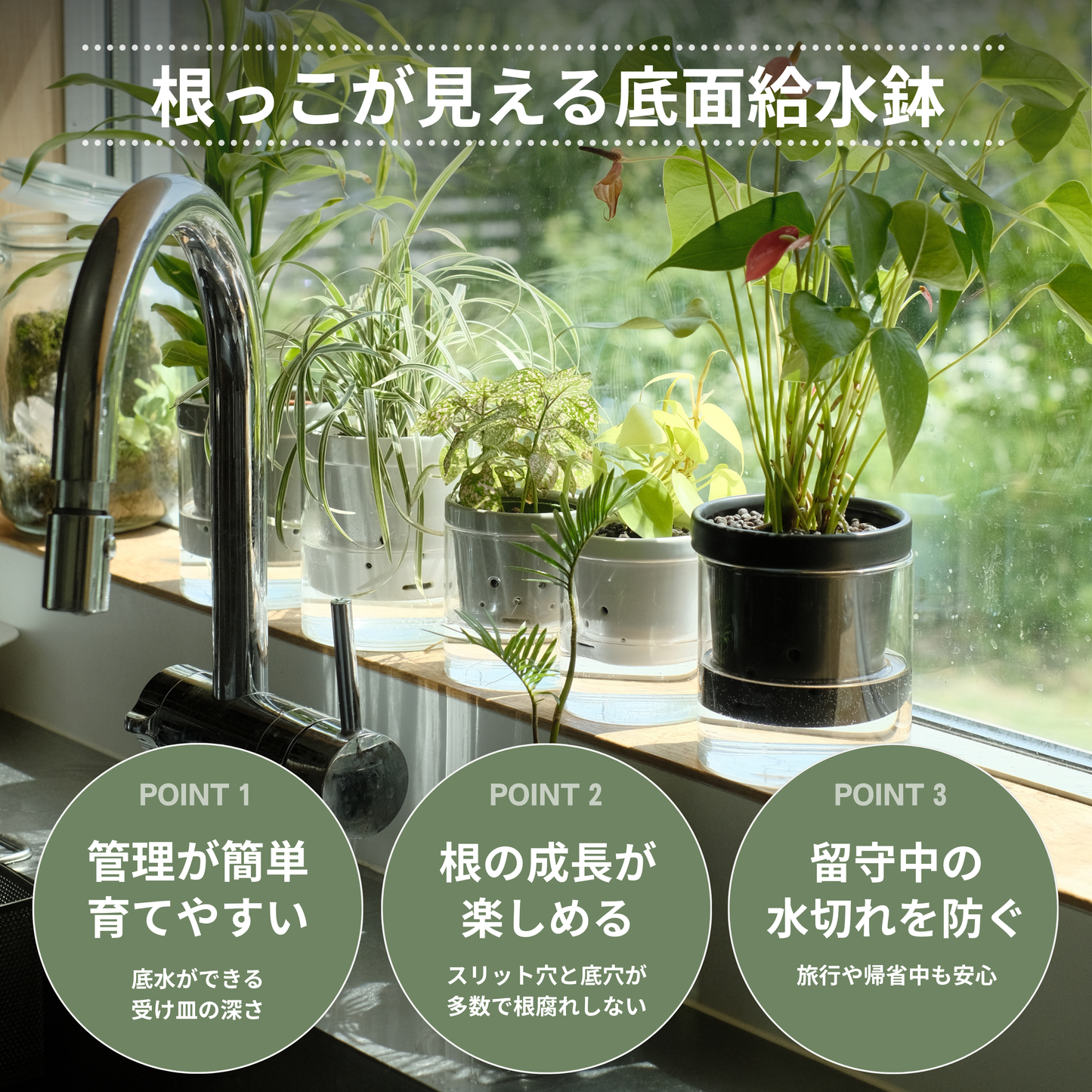 水耕栽培用鉢　根っこさん　Mサイズ