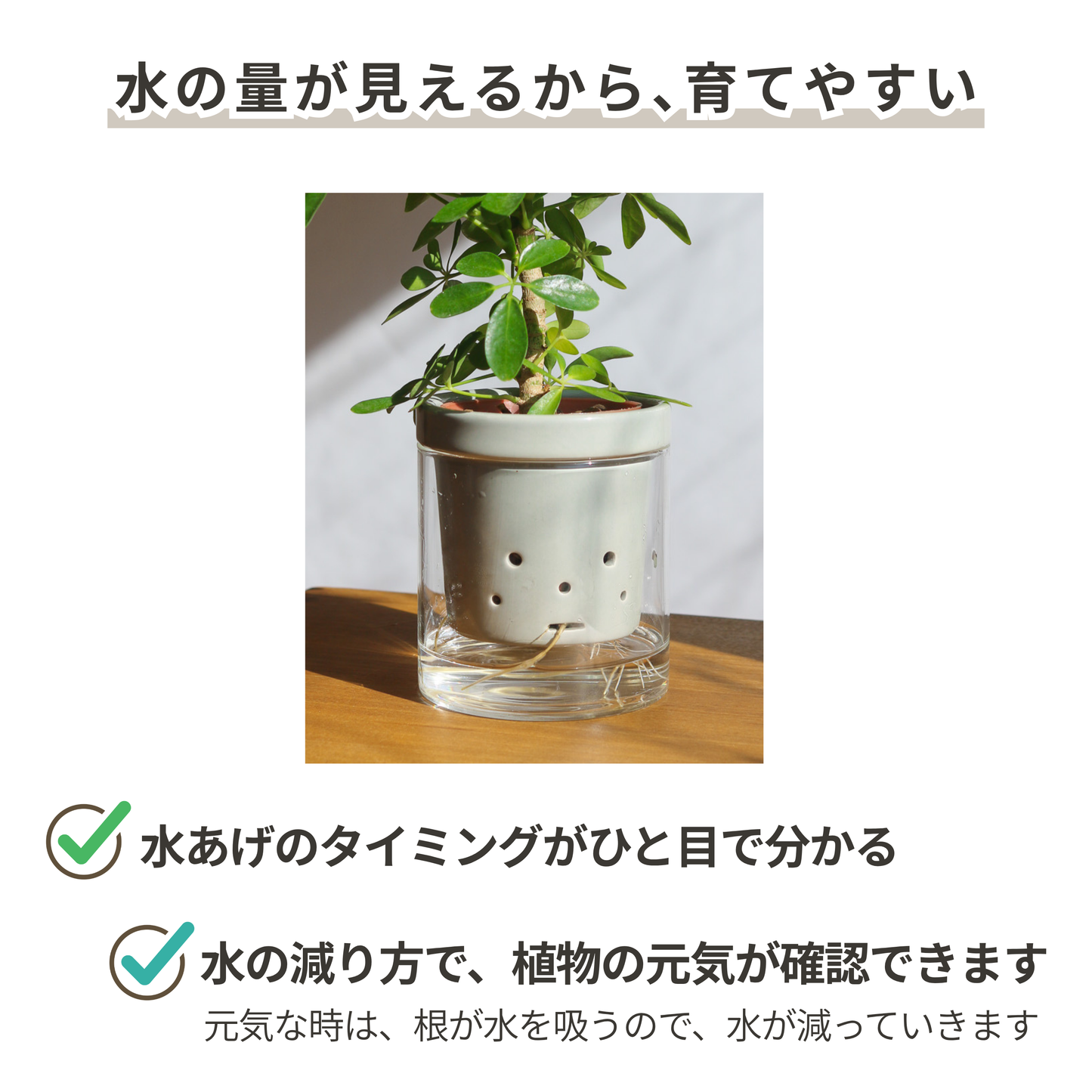 水耕栽培用鉢　根っこさん　Mサイズ