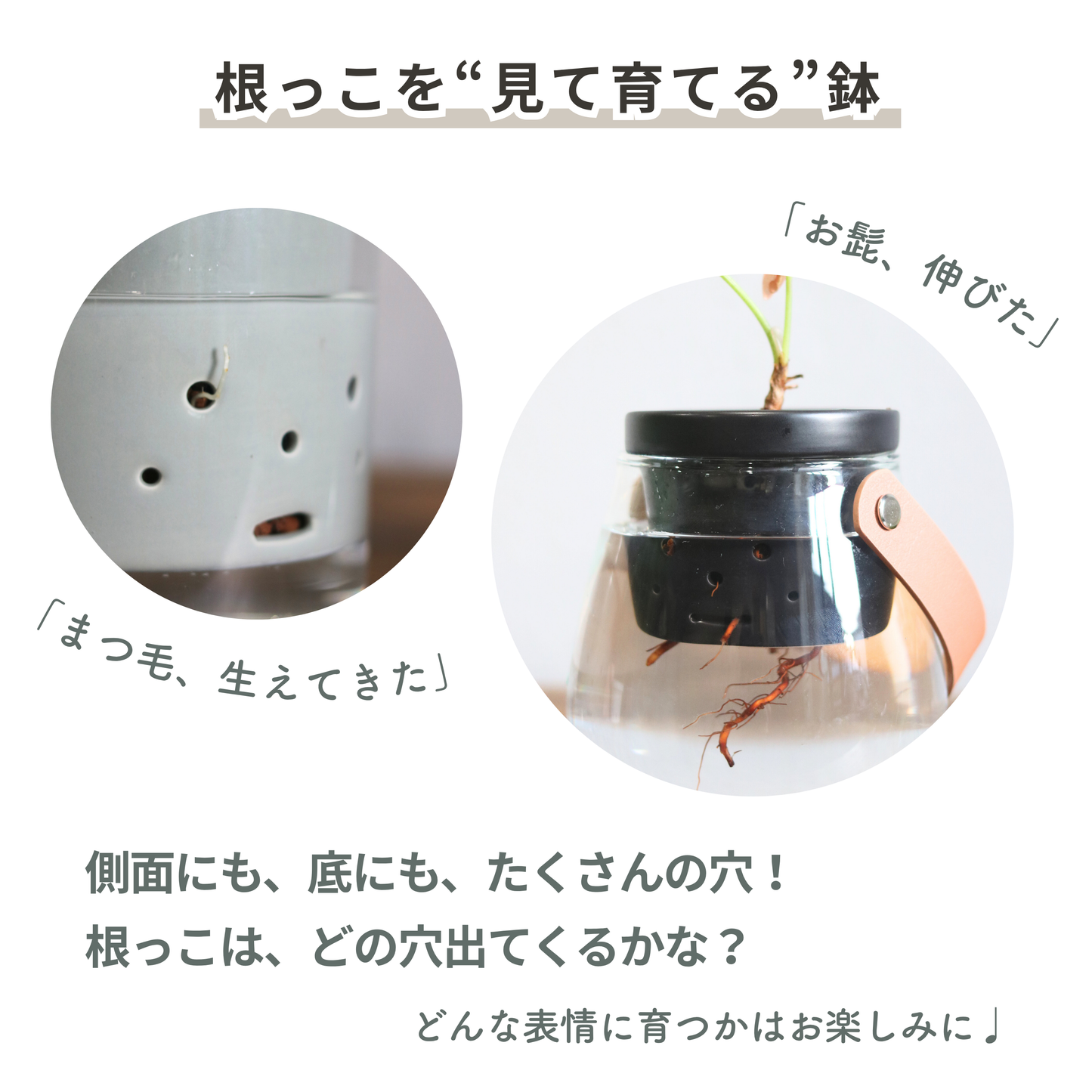 水耕栽培用鉢　根っこさん　Mサイズ