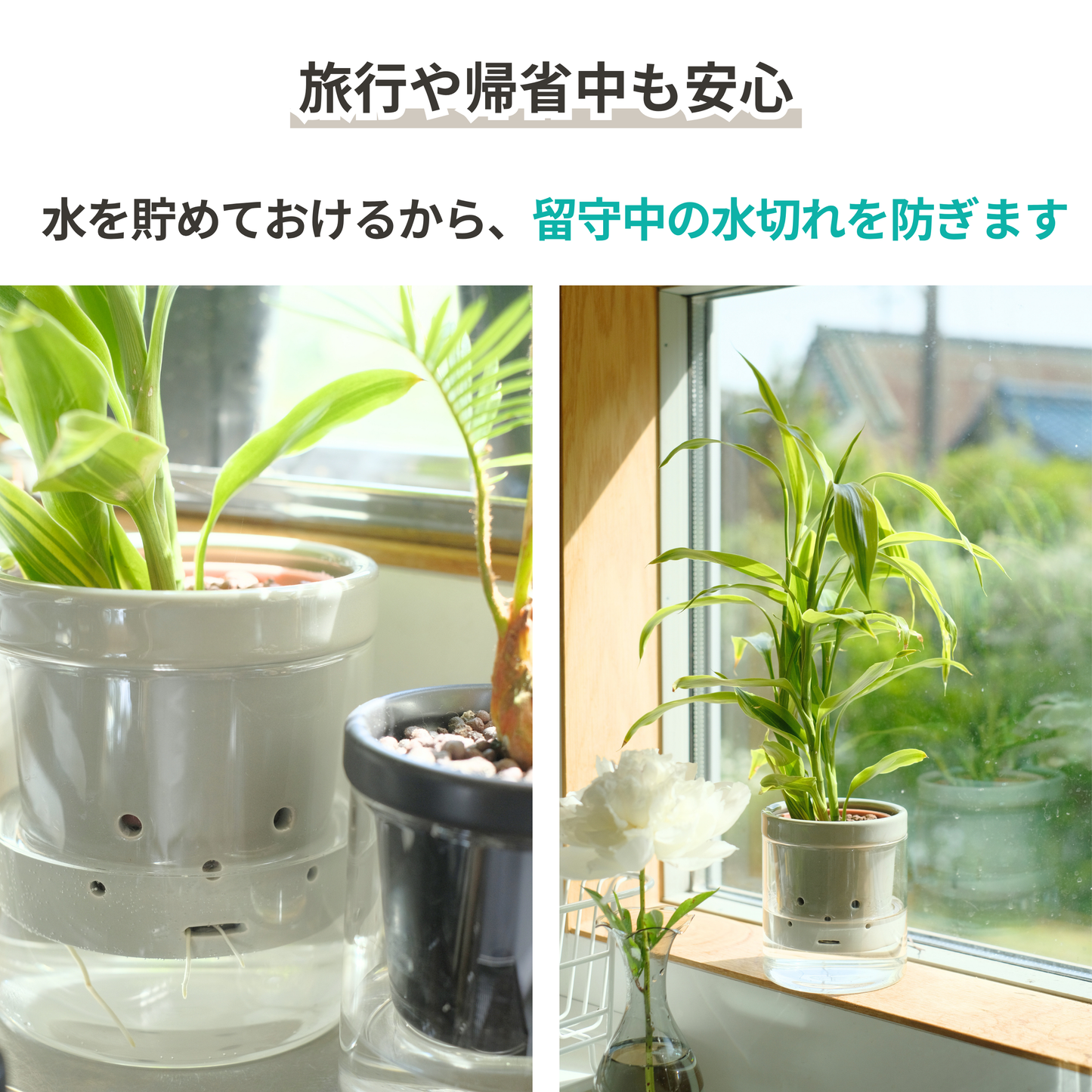 水耕栽培用鉢　根っこさん　Mサイズ