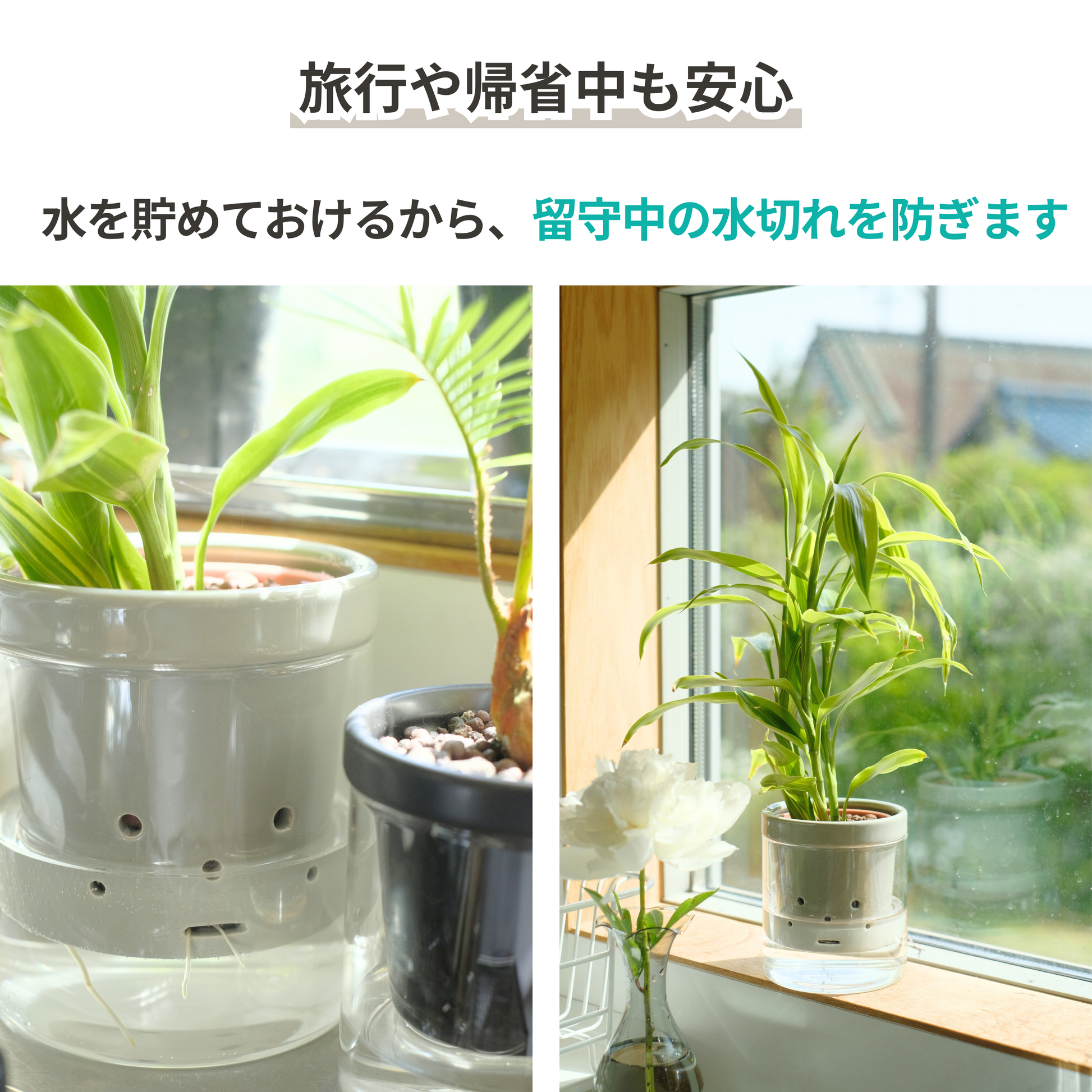 水耕栽培 ハイドロカルチャー専用鉢 食虫植物の鉢｜陶器 おしゃれな鉢