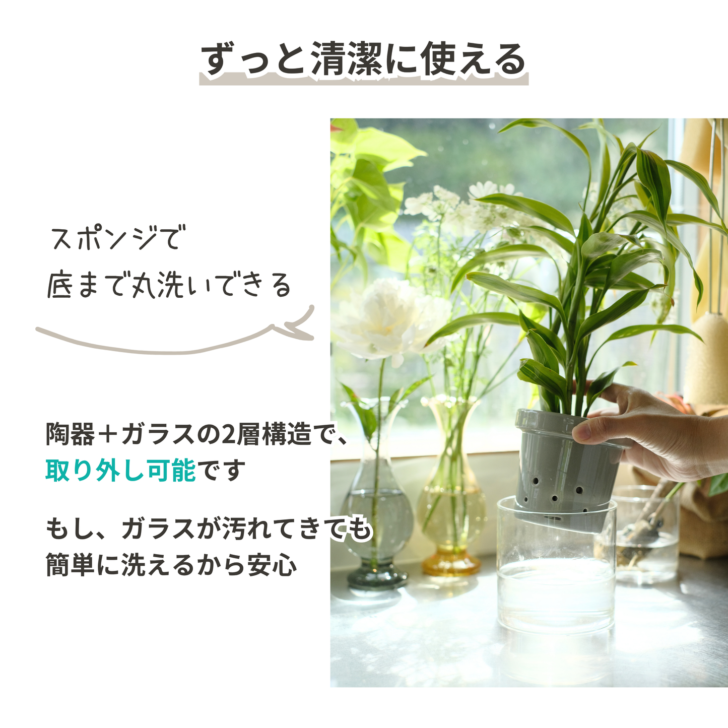 水耕栽培用鉢　根っこさん　Mサイズ