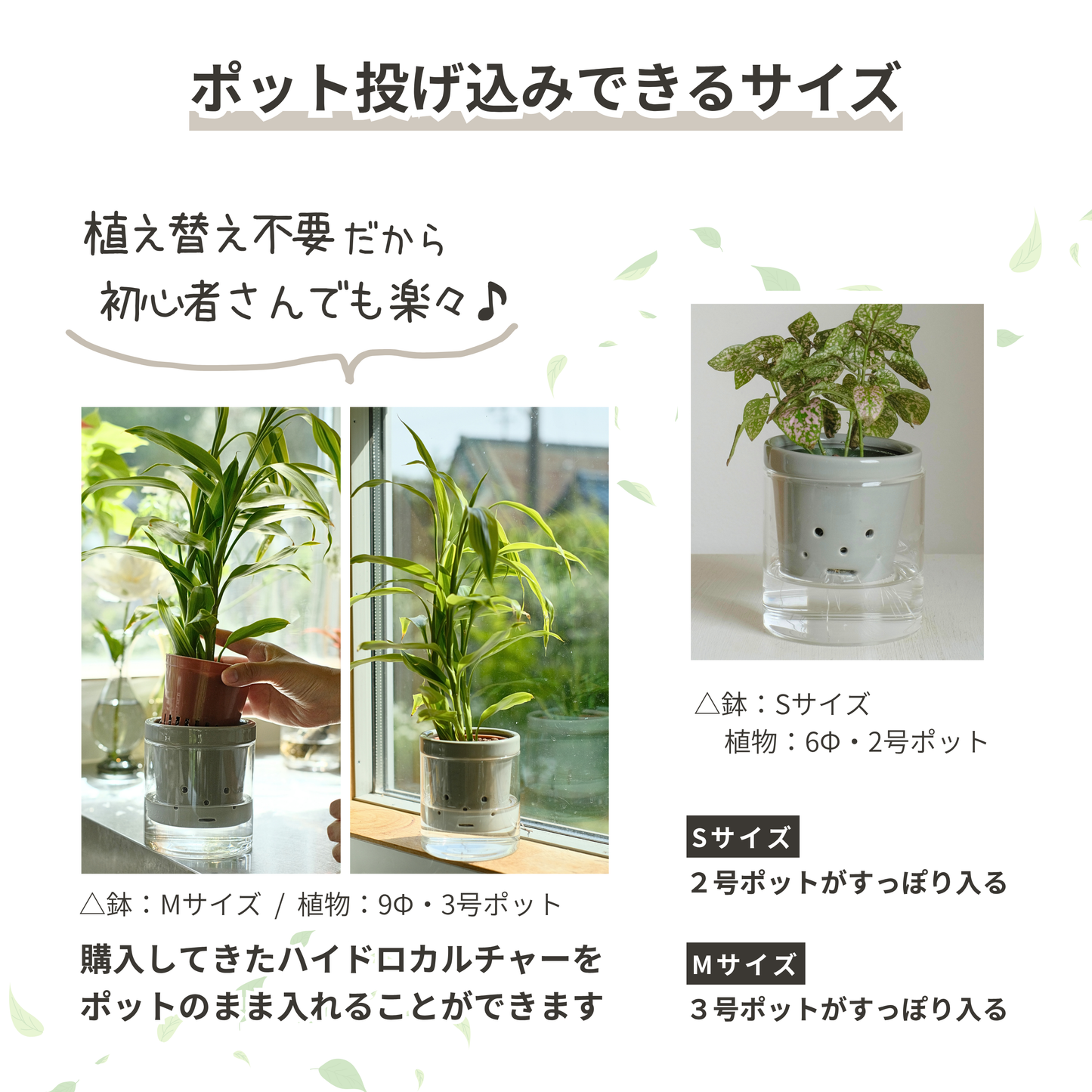 水耕栽培用鉢　根っこさん　Mサイズ