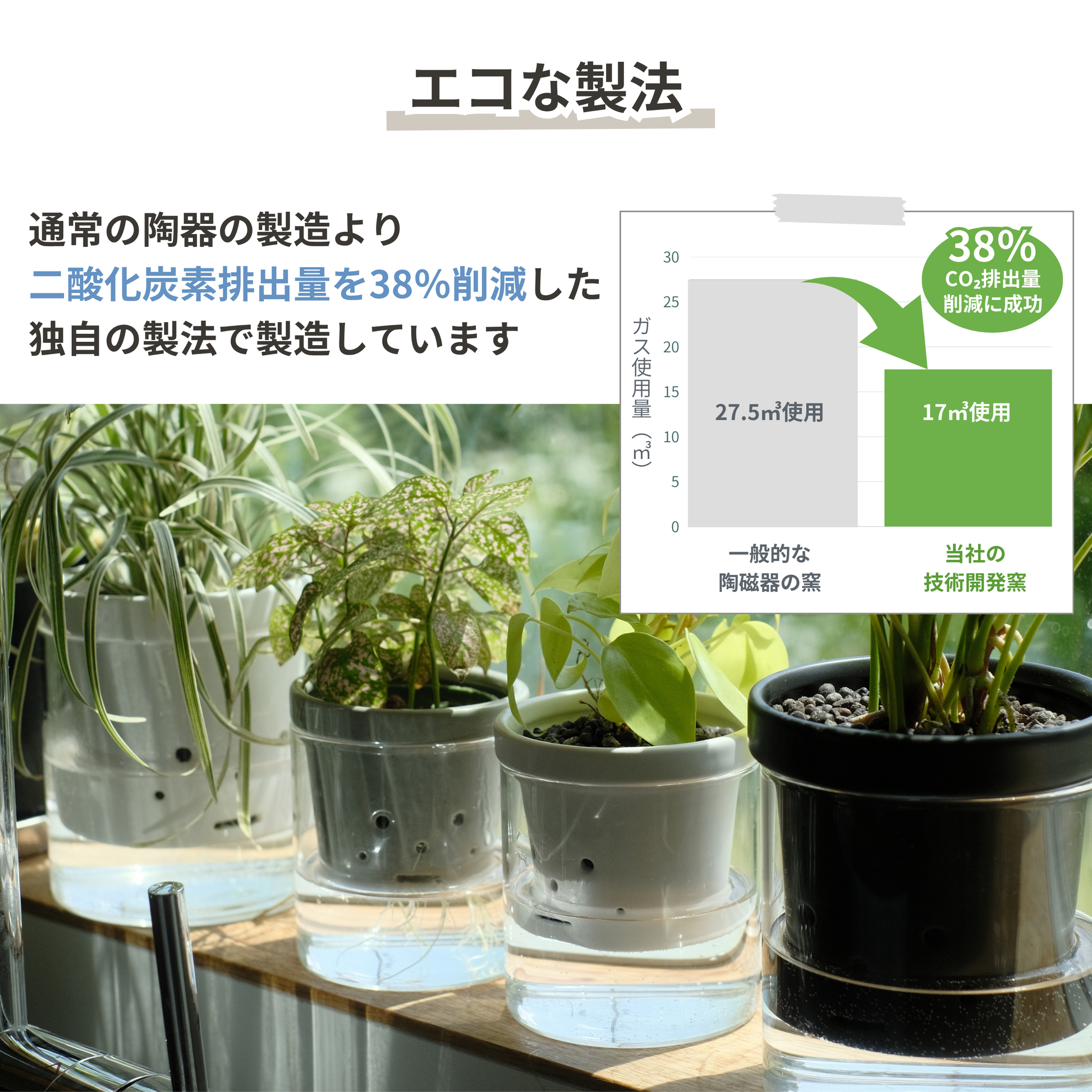 水耕栽培用 ハイドロカルチャー専用鉢 食虫植物の鉢｜陶器 おしゃれな