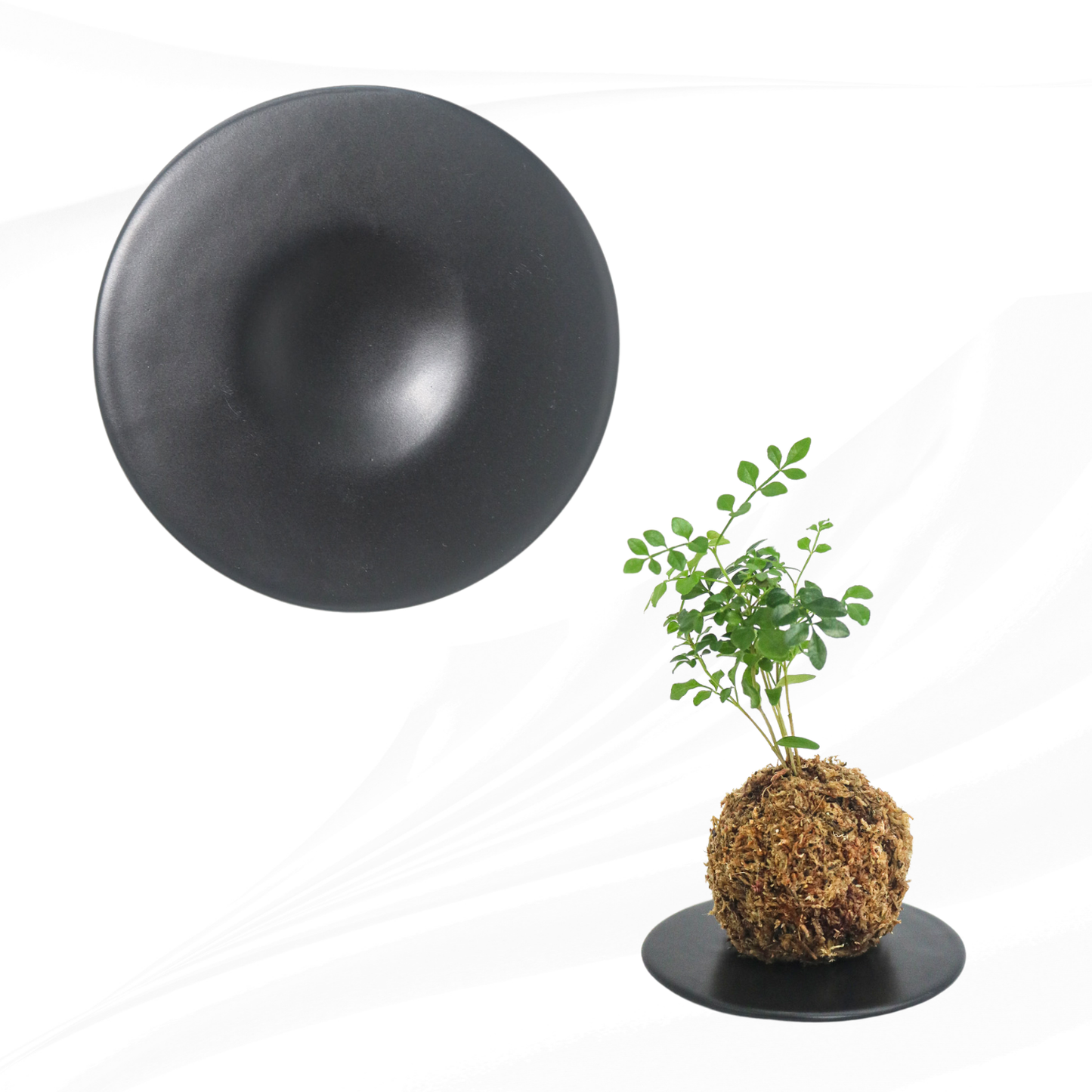 シンプルな苔玉用の皿|黒色|@鉢の専門店onajimi シンプルな苔玉用の皿|黒色|@鉢の専門店onajimi