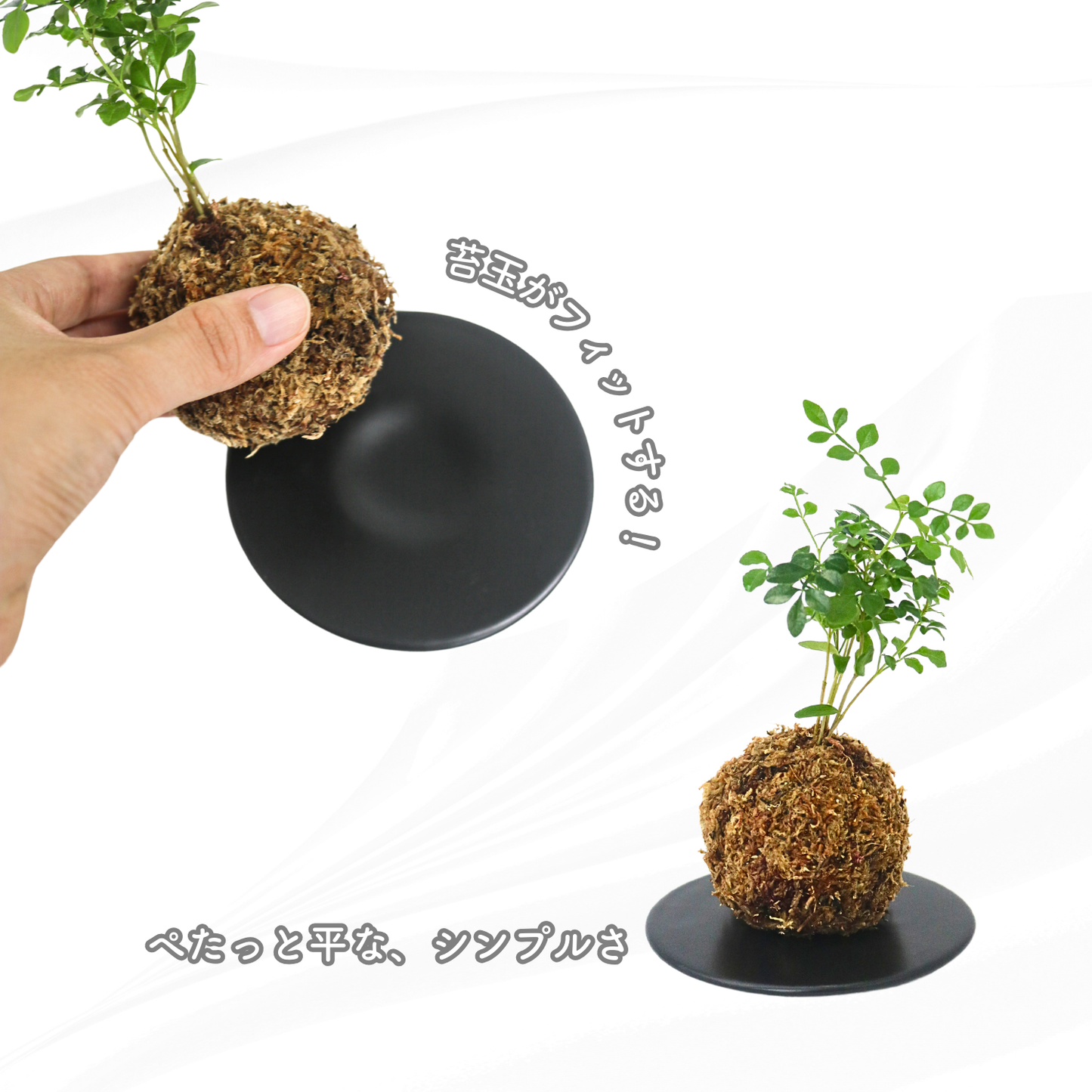 シンプルな苔玉用の皿|黒色|@鉢の専門店onajimi シンプルな苔玉用の皿|黒色|@鉢の専門店onajimi