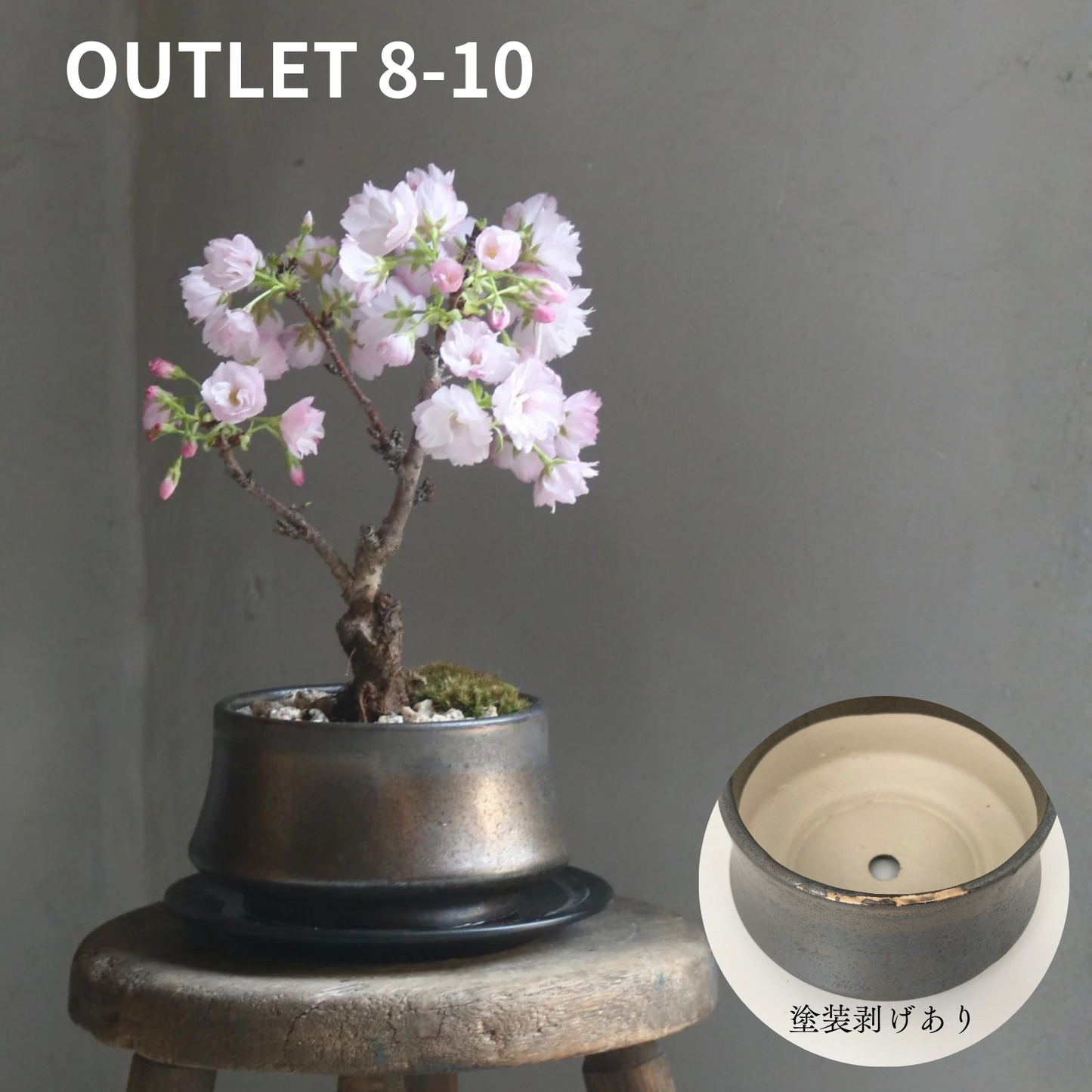 【アウトレット品】盆栽鉢 山型 金零　受け皿なし