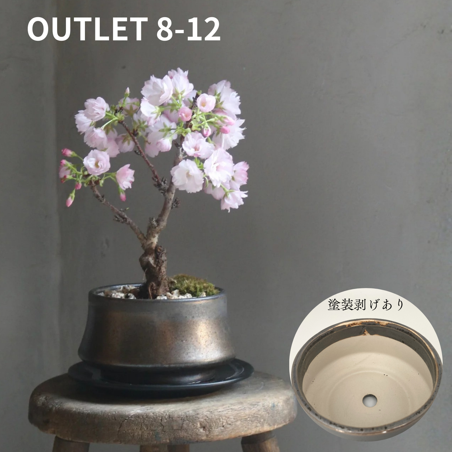 【アウトレット品】盆栽鉢 山型 金零　受け皿なし