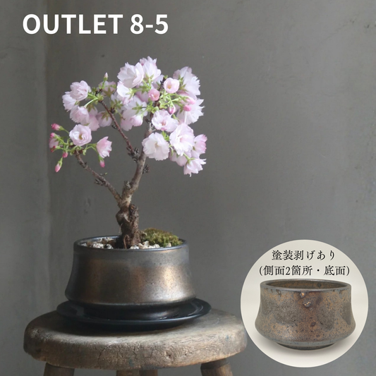 【アウトレット品】盆栽鉢 山型 金零　受け皿なし