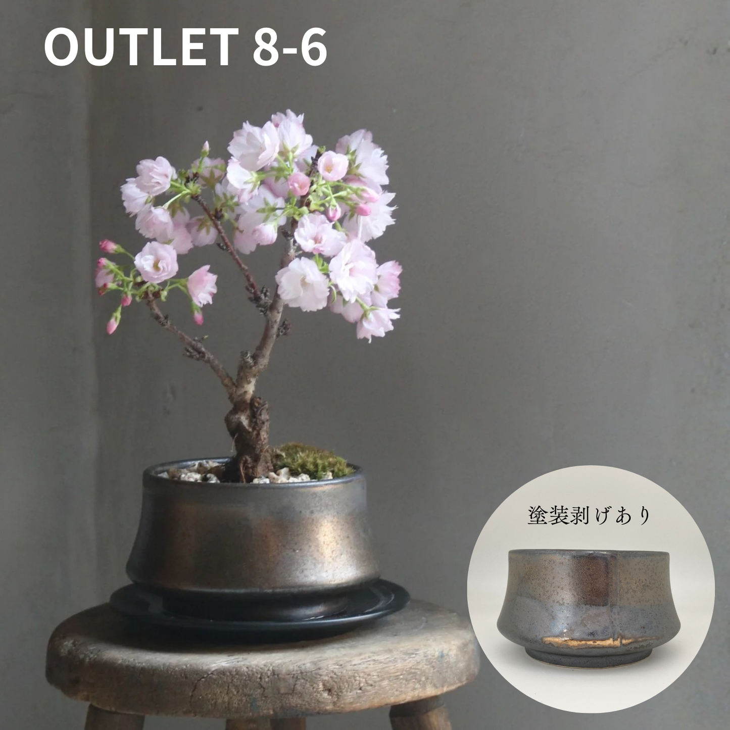 【アウトレット品】盆栽鉢 山型 金零　受け皿なし