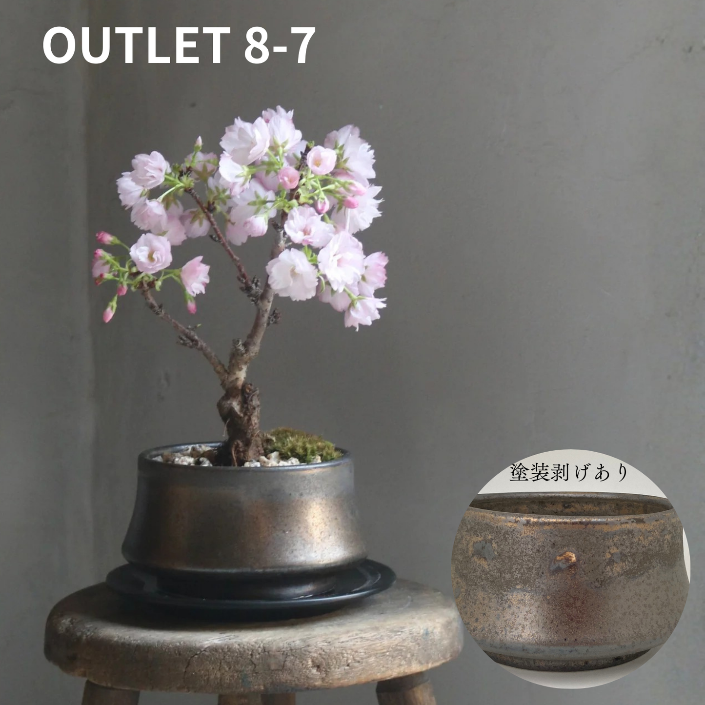 【アウトレット品】盆栽鉢 山型 金零　受け皿なし