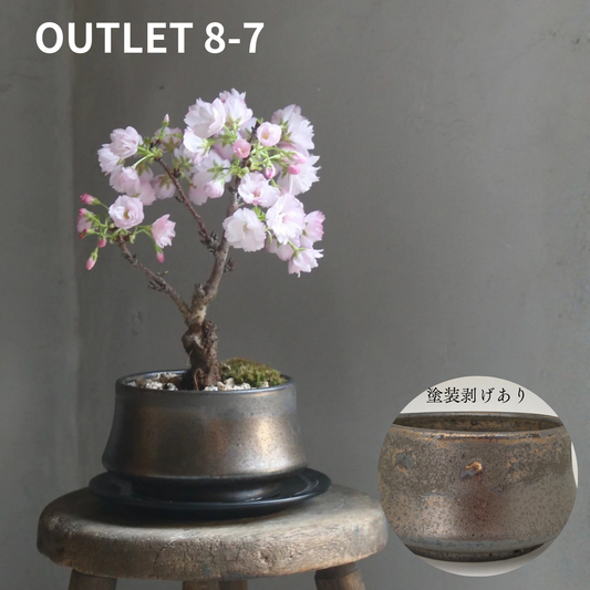 【アウトレット品】盆栽鉢 山型 金零　受け皿付き