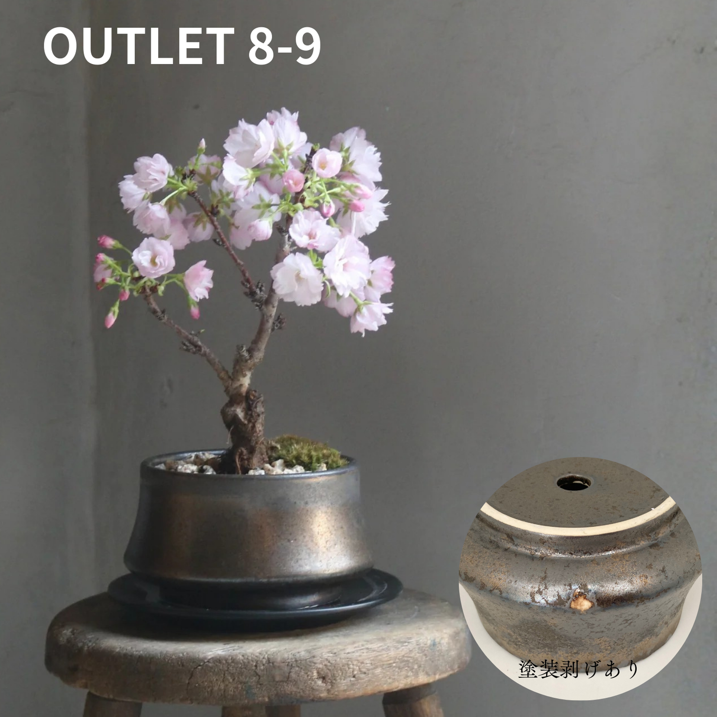 【アウトレット品】盆栽鉢 山型 金零　受け皿なし