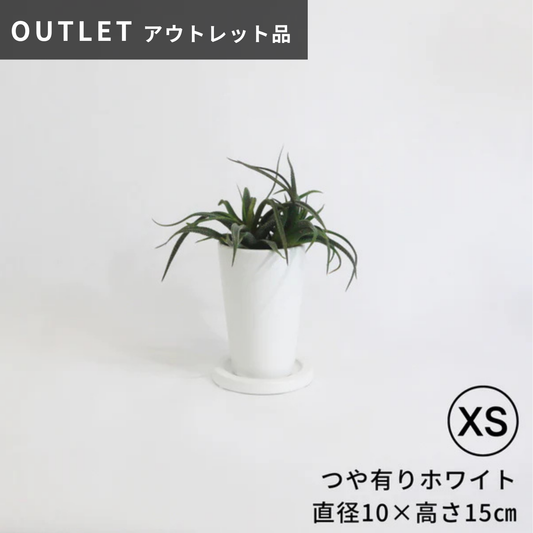 【アウトレット品】にんじんさん穴有皿付き　XSサイズ