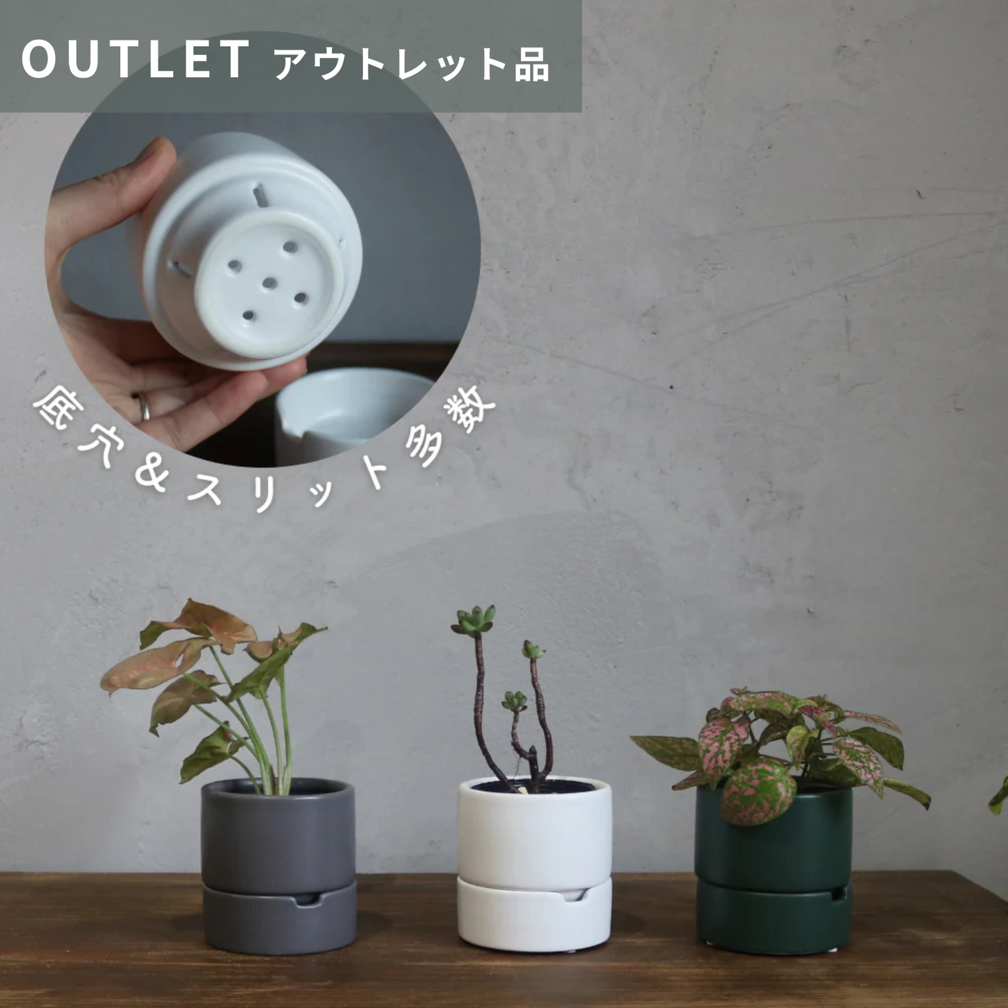【アウトレット品】すーさん　Sサイズ