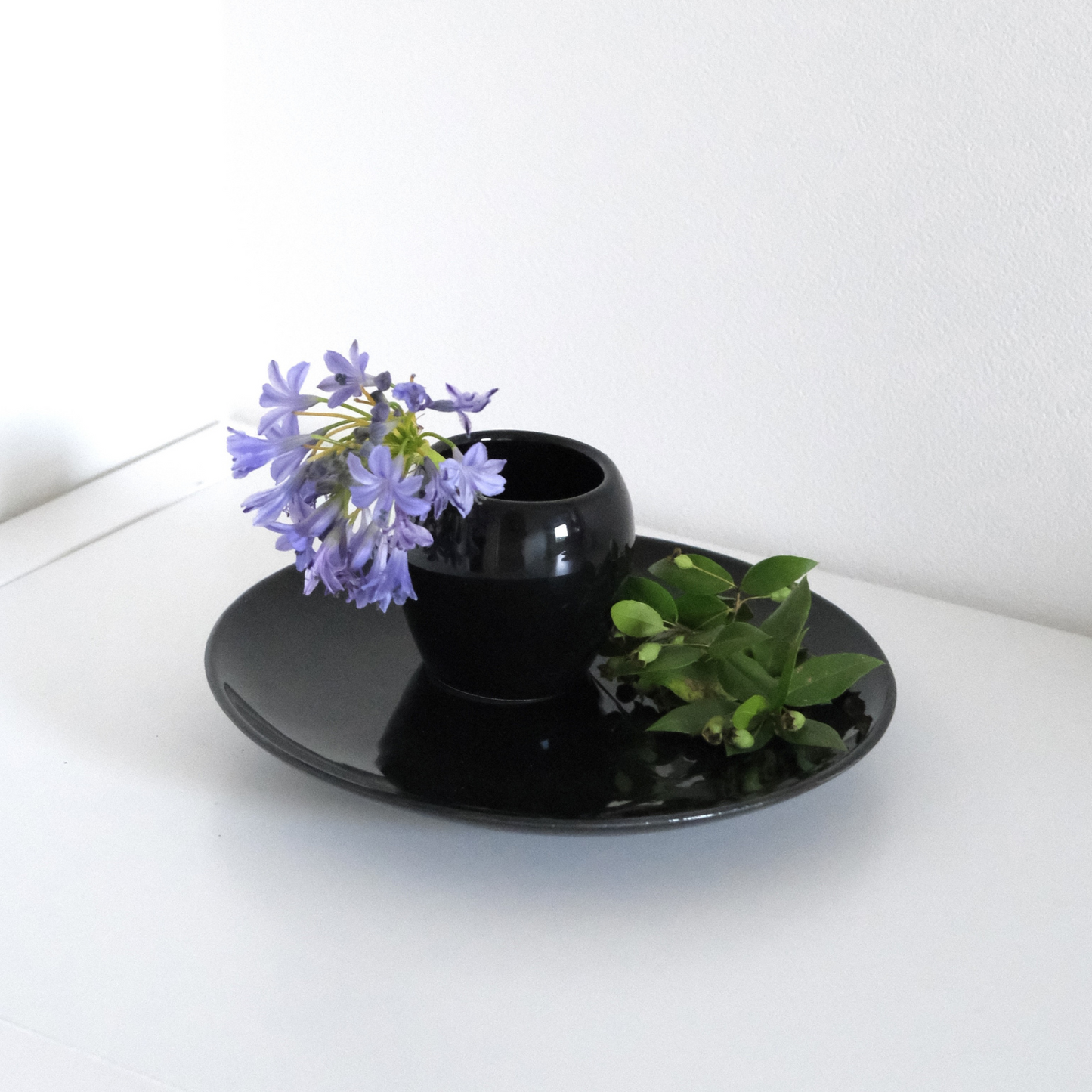 【アウトレット品】マグネットツーク　黒　Lサイズ