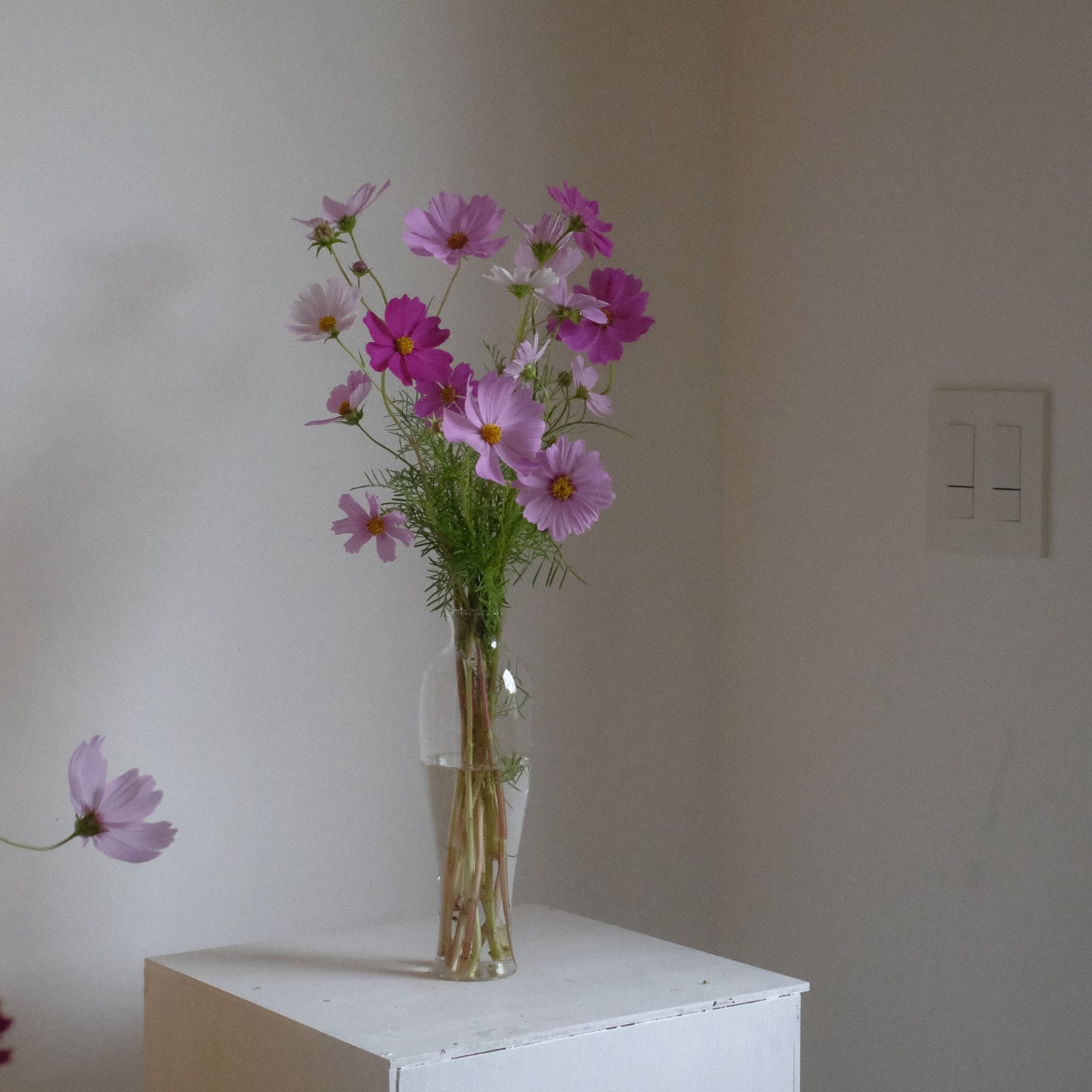 花瓶です CERAMIC FLOWER VASE - DRUM (ドライ) | BamBooks the Heritage