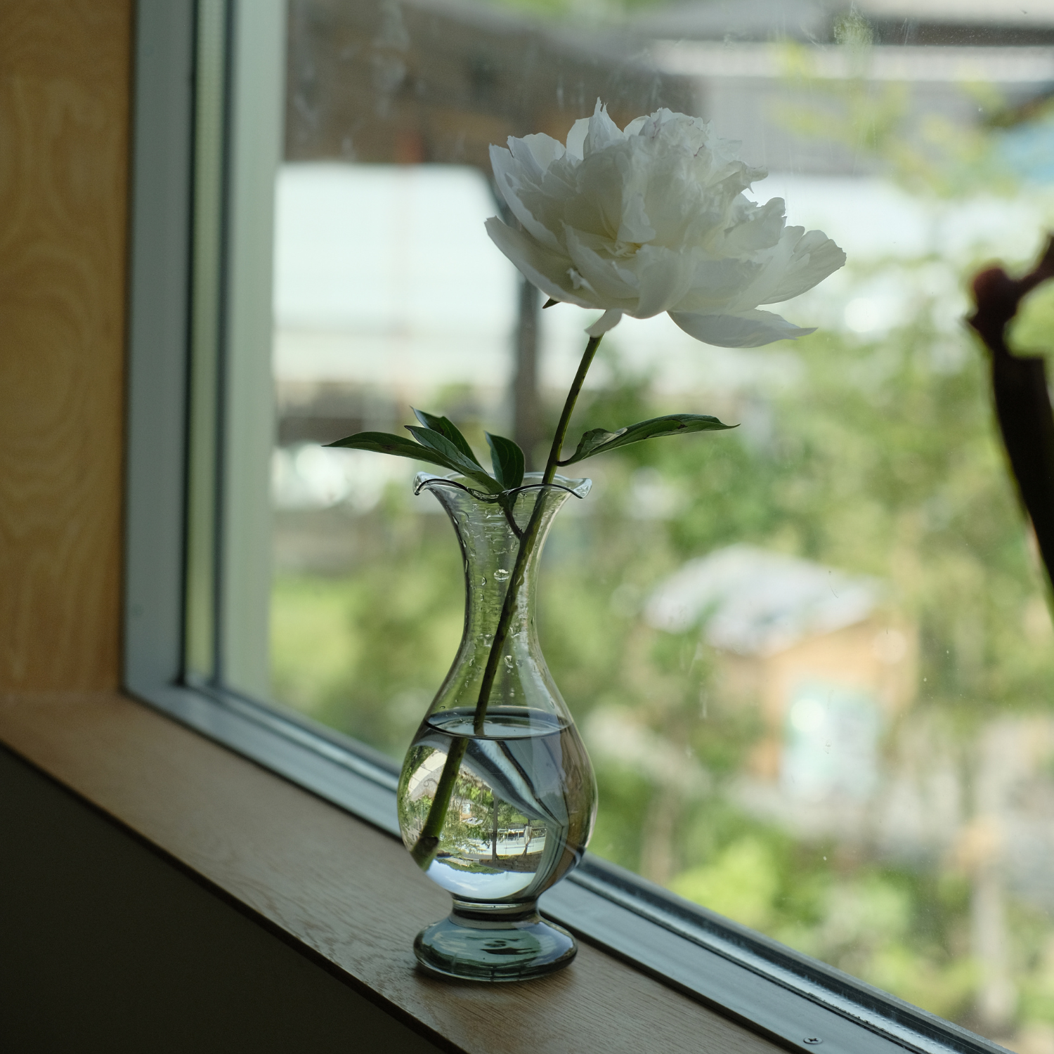 ガラスの花瓶｜一輪挿し｜おしゃれ｜かわいい｜シンプル｜室内｜ふち