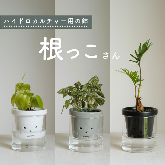 水耕栽培用　根っこさん　Sサイズ