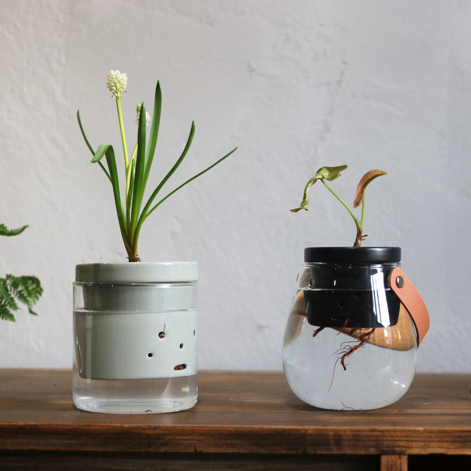 水耕栽培用 ハイドロカルチャー専用鉢 食虫植物の鉢|陶器 おしゃれな 水耕栽培用 ハイドロカルチャー専用鉢 食虫植物の鉢|陶器 おしゃれな
