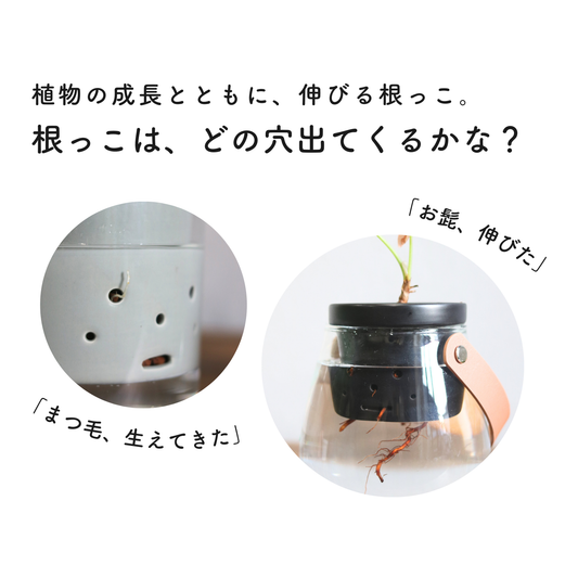 水耕栽培用鉢　根っこさん　Mサイズ
