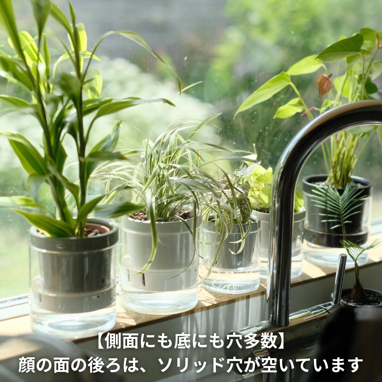 水耕栽培用 ハイドロカルチャー専用鉢 食虫植物の鉢|陶器 おしゃれな 水耕栽培用 ハイドロカルチャー専用鉢 食虫植物の鉢|陶器 おしゃれな