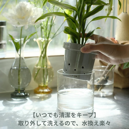 水耕栽培用鉢　根っこさん　Sサイズ