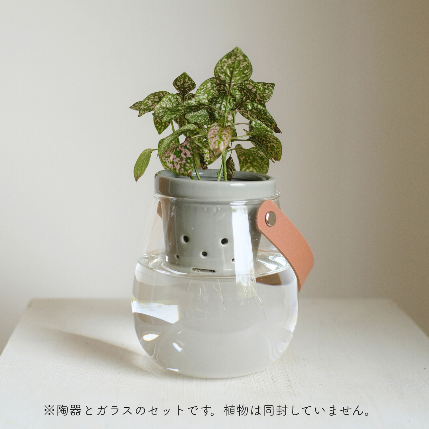 水耕栽培用 ハイドロカルチャー専用鉢 食虫植物の鉢|陶器 おしゃれな 水耕栽培用 ハイドロカルチャー専用鉢 食虫植物の鉢|陶器 おしゃれな