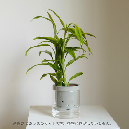水耕栽培 ハイドロカルチャー専用鉢 食虫植物の鉢|陶器 おしゃれな鉢 水耕栽培 ハイドロカルチャー専用鉢 食虫植物の鉢|陶器 おしゃれな鉢